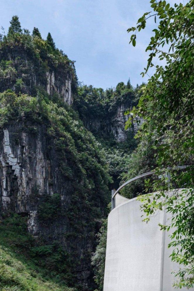 可爱小猫向上跳